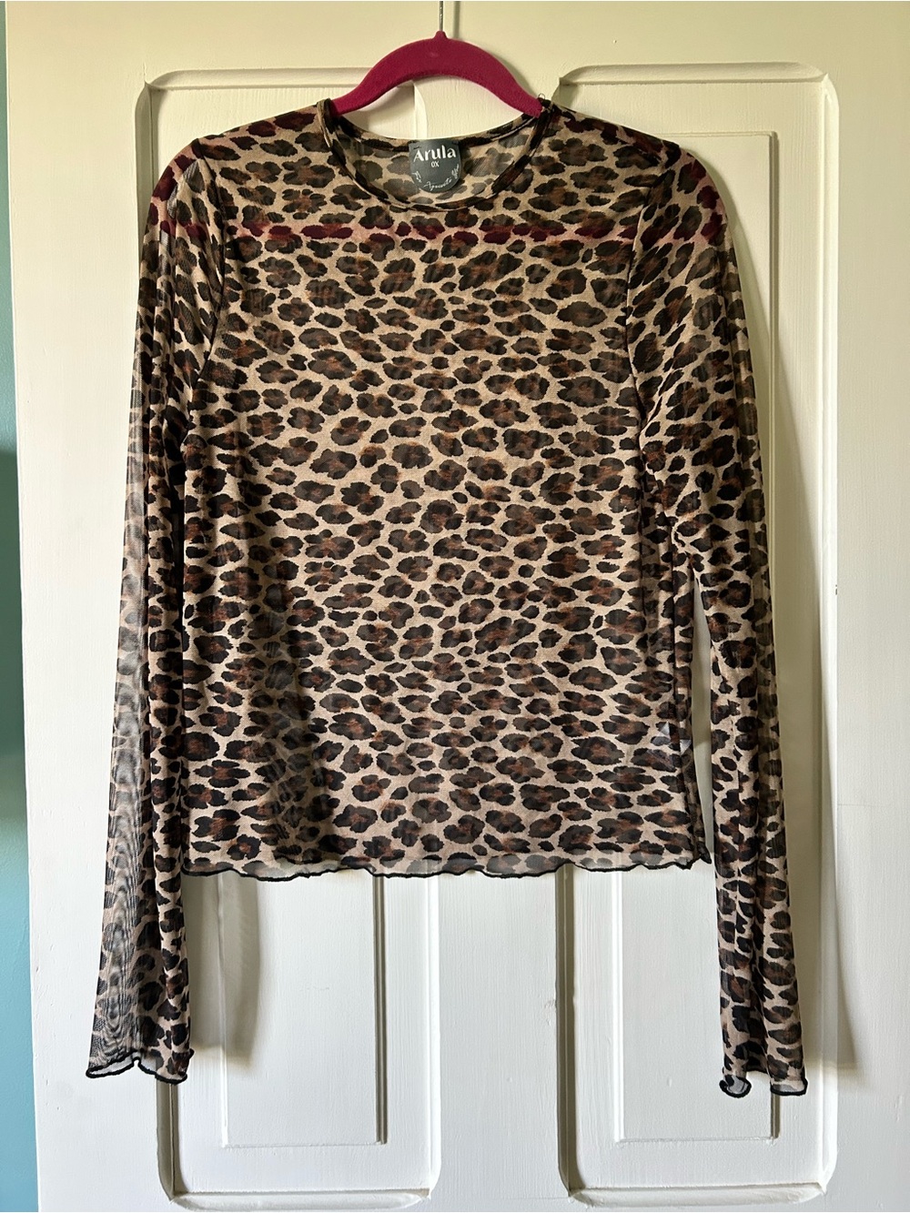 ARULA Brown Leopard Mesh Long Sleeve Top